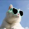 JeromePetty - @nichoxuzayt - TikTok