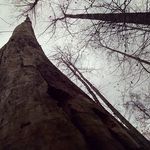 Jerome Powers - @jeromepowers27 - Instagram