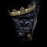 Jerome RANKIN - @romerankin - Instagram