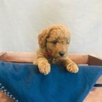 Tucker Jerome Redd - @littletuckerjerome - Instagram