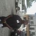 Jerome Reeves Browne - Facebook