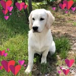 Jérôme Schmitt - @schmitt7343 - Instagram