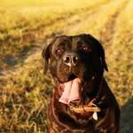 Jerome Schmitt - @jeromeschmitt1 - Instagram