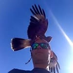 Jérôme Schweitzer - @jerome______s - Instagram