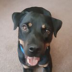 Jerome starr - @jeromestarr9 - Instagram