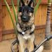 Jeremy Stockham - Facebook