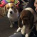 Jerome Swift - Facebook