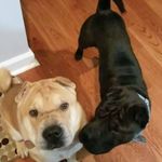 jerome talley - @talleyjerome - Instagram