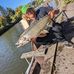 Jeremy Trout - Facebook