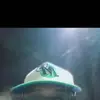 Jerome Vasquez - @jerome.vasquez3 - TikTok