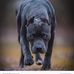 Jerome Walls - Facebook