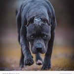 Jerome Walls - @jeromewalls198531 - Instagram