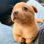 Jeromy Lee - @jeromylee548 - Instagram
