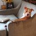 Jeromy Phillips - Facebook