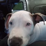 Jeromy Rogers - @romysky719 - Instagram