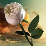 Jeronimo Blanco - @blanco.jeronimo - Instagram