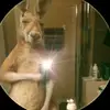 jeronimo castro - @jeronimo.castro092 - TikTok