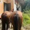 jeronimo castro - @jeronimo.castro047 - TikTok