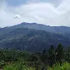 Jeronimo Meza - @jeronimo.meza6 - TikTok
