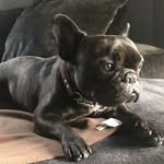 Jerry Bates - @jerrybates7980 - Instagram