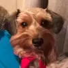 Jerry Bowen - @jerry.bowen - TikTok