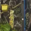 Jerry Bowen - @jerry.bowen1 - TikTok