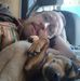 Jerry Brock - Facebook