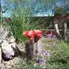 Jerri Brown - @jerri.brown - TikTok
