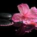 Jerri Bryant - Facebook