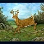 Jerry Byrd - @jerry.byrd.1675 - Instagram