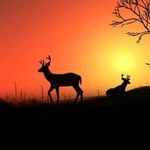Jerry Byrd - @jerry.byrd.35762 - Instagram