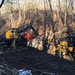 Jerry Byrd Logging - @jerrybyrdlogging - Instagram