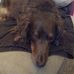 Jerri Campbell - Facebook