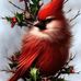 Jerri Casey - Facebook