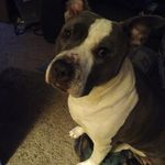 Jerri Casey - @jerri.casey.18 - Instagram