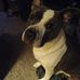 Jerri Casey - Facebook
