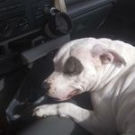 Jerry Case - @jerrycase127 - Instagram