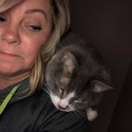 Jerri Cook Baio - @rescue_fostermama - Instagram
