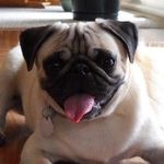 Jerri Cook Bruggner - @jerricookbruggner - Instagram