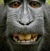 Jerry Cooley - Facebook