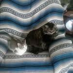Jerry Cooley Jr. - @jerrycooleyj - Instagram