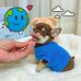 Jerry Craig - Facebook
