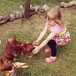 Jerri Davis - @littlemomma32420 - Instagram