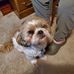 Jerri Everett - Facebook
