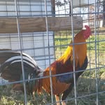 Jerry Jenkins - @jerry.jenkins.7393 - Instagram