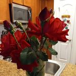 Jerri Jones - @peachlet43 - Instagram