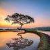 Jerri Jones - Facebook