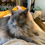 Jerri Kelley - @jerrikelley6 - Instagram
