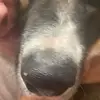 Джери Ли ❤️‍🩹 - @jerri.li - TikTok