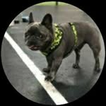 Jerry McBride - @jerrymcbride_11 - Instagram